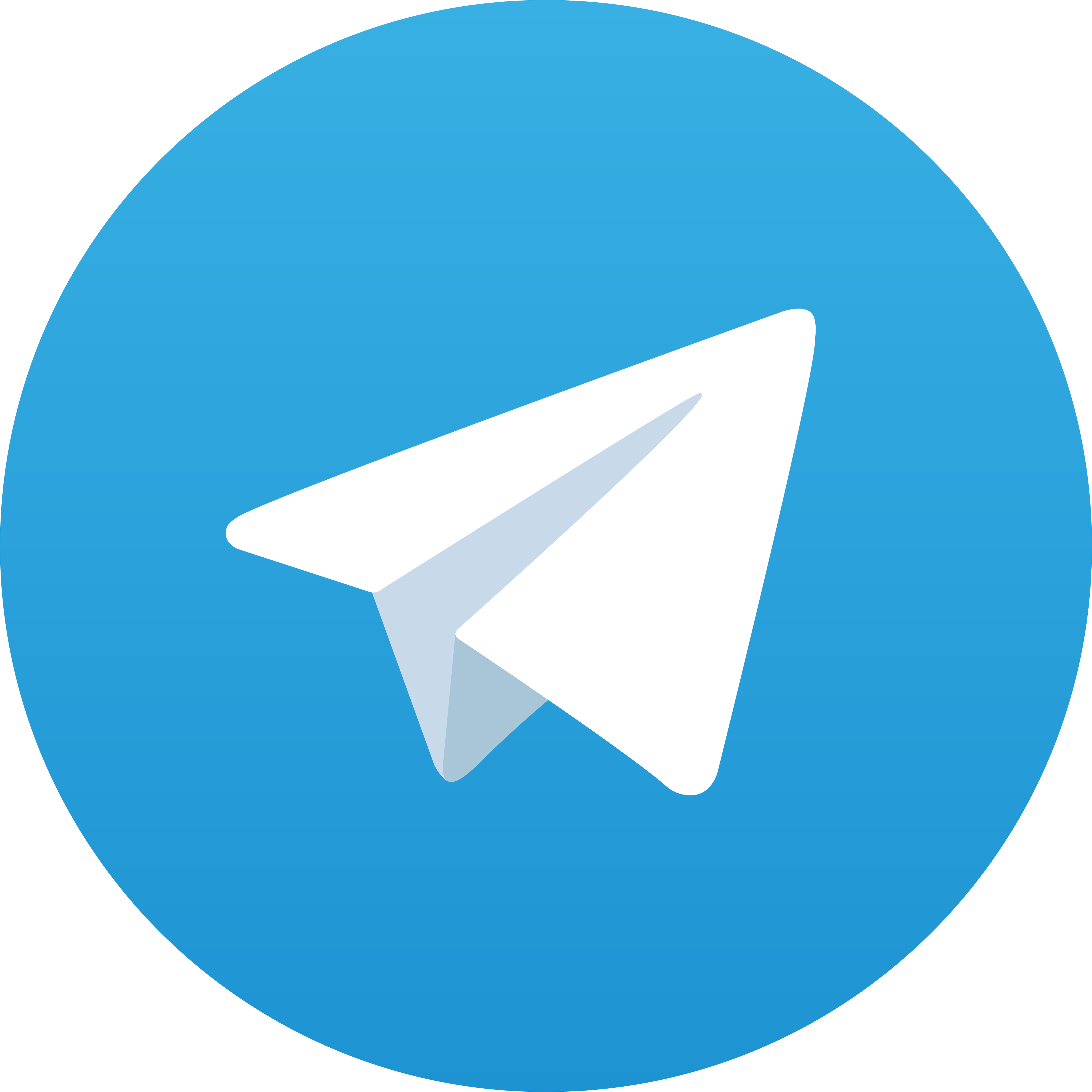 Telegram Babehjudi